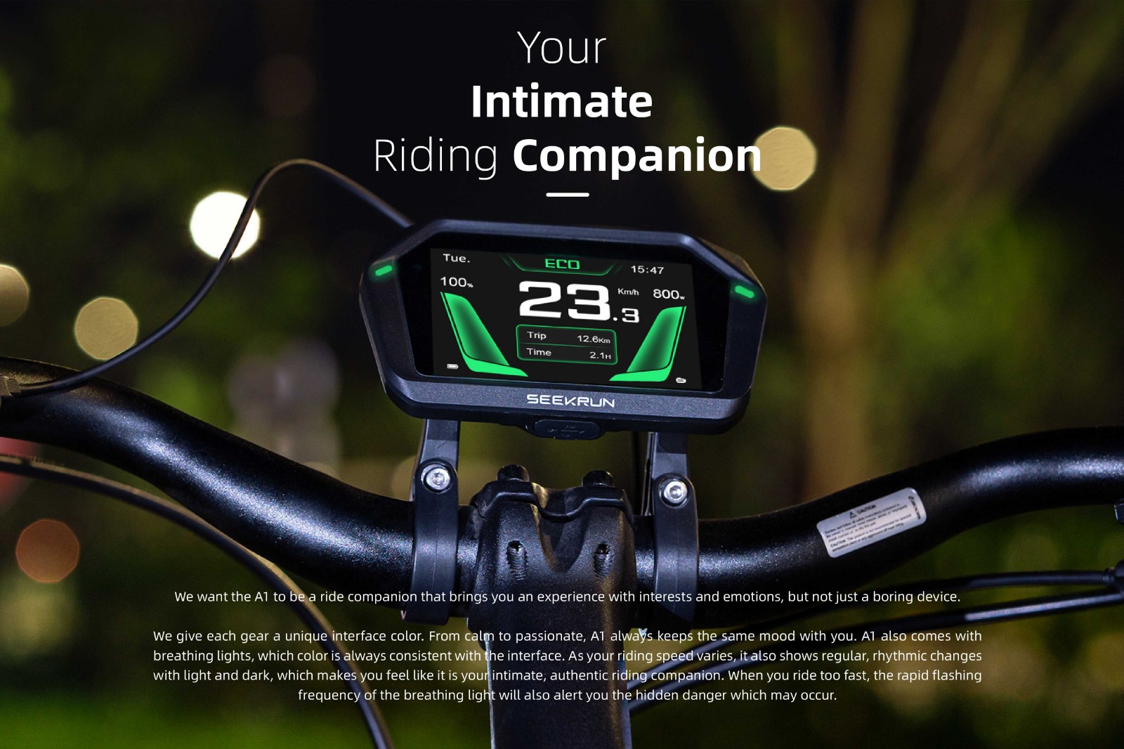 E-bike TFT Display Instrument (A1)