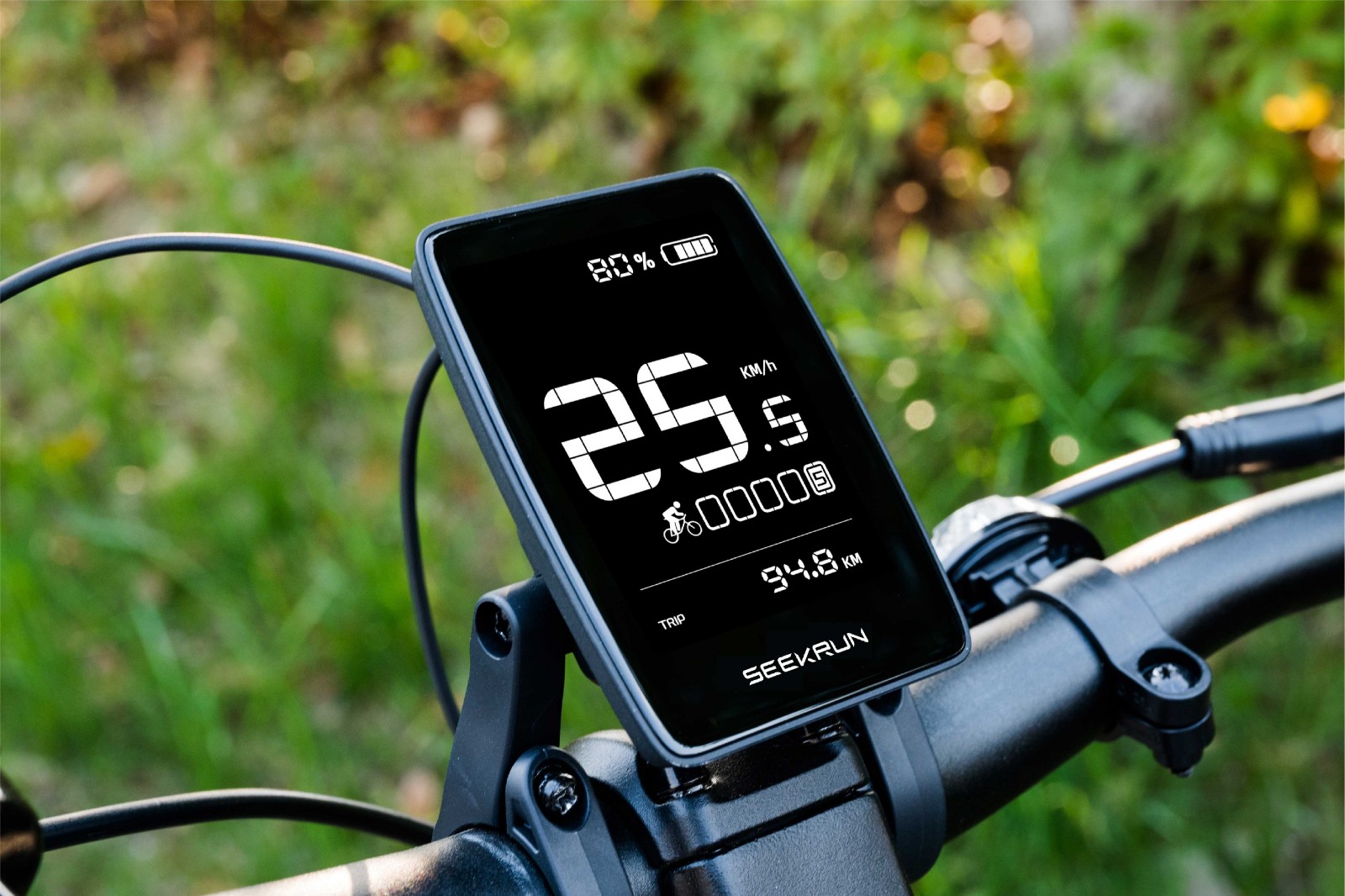 3.2 inch E-bike LCD Display[M1]