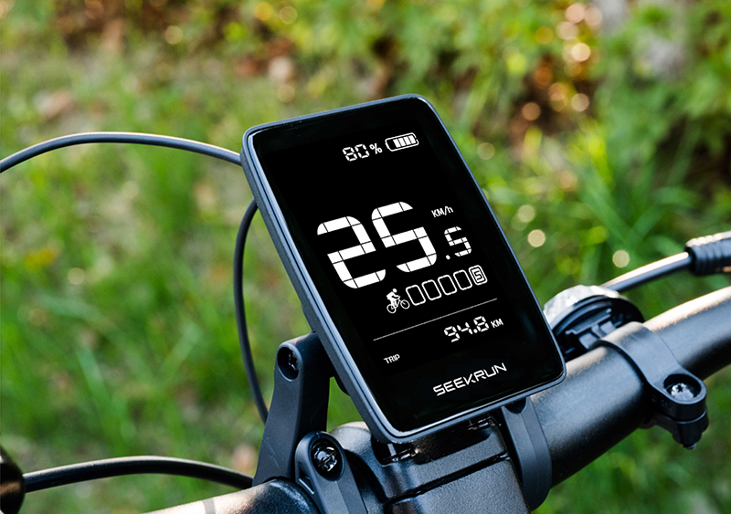 3.2 inch E-bike LCD Display[M1]